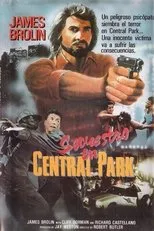 Póster de Secuestro en Central Park