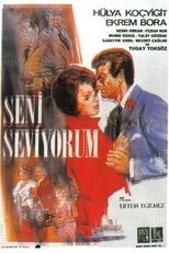 Póster de Seni Seviyorum