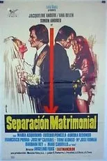 Póster de Separación matrimonial