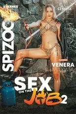 Póster de Sex On The Job 2
