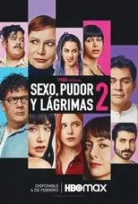 Póster de Sexo, pudor y lágrimas 2