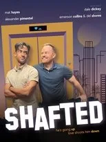 Póster de Shafted