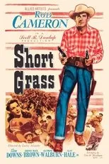 Póster de Short Grass