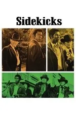 Póster de Sidekicks