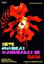 Póster de Siete orquídeas manchadas de rojo