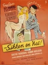 Póster de Sikken en nat