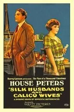 Póster de Silk Husbands and Calico Wives