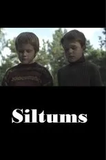 Póster de Siltums