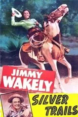 Póster de Silver Trails