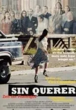 Póster de Sin querer