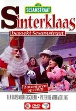 Póster de Sinterklaas in Sesamstraat 2002: Een bijzonder geschenk