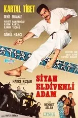 Póster de Siyah Eldivenli Adam