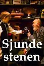 Póster de Sjunde stenen