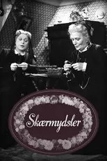 Póster de Skærmydsler