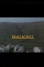 Póster de Skallagrigg