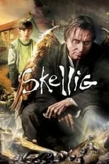 Póster de Skellig