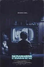 Póster de Skinamarink