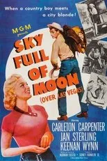 Póster de Sky Full of Moon