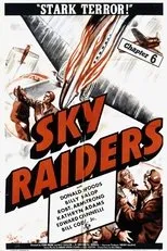 Póster de Sky Raiders