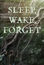 Póster de Sleep, Wake, Forget