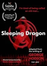 Póster de Sleeping Dragon