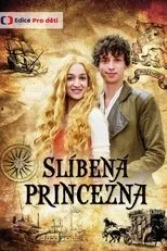 Póster de Slíbená princezna