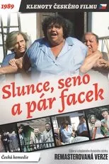 Póster de Slunce, seno a pár facek