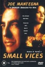 Póster de Small Vices
