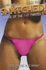 Póster de Snatched! Curse of the Pink Panties 2