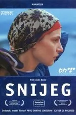 Póster de Snijeg