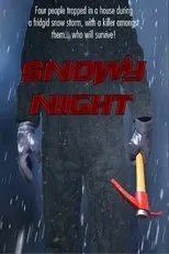 Póster de Snowy Night