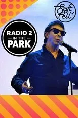 Póster de Soft Cell: Radio 2 in the Park
