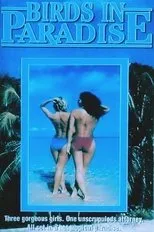 Póster de Soft Touch II