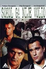 Póster de Sokol ga nije volio