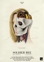 Póster de Soldier Bee