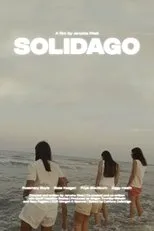 Póster de Solidago