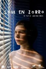 Póster de Som en Zorro