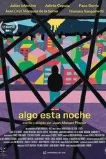 Póster de something tonight