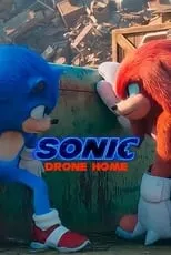 Póster de Sonic Drone Home