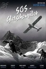 Póster de SOS - Gletscherpilot