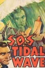 Póster de S.O.S Tidal Wave