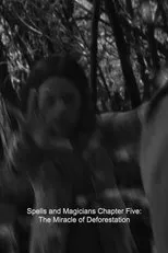 Póster de Spells and Magicians Chapter Five: The Miracle of Deforestation