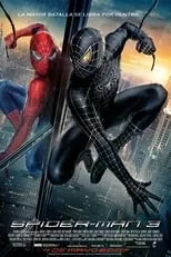 Póster de Spider-Man 3