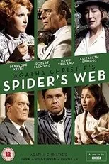 Póster de Spider's Web