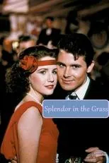 Póster de Splendor in the Grass