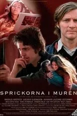 Póster de Sprickorna i muren