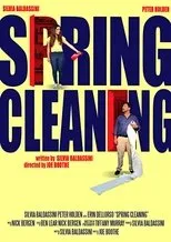 Póster de Spring Cleaning