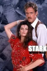 Póster de Stark: Mirror Image
