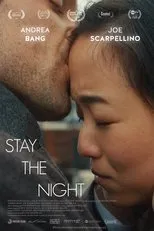 Póster de Stay the Night