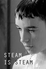 Póster de Steam is Steam
